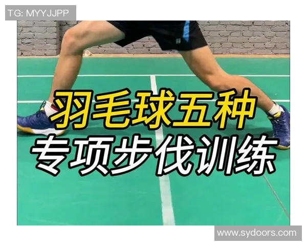 羽毛球盛宴:深入了解西安羽毛球队的训练与技术秘诀 羽毛球盛宴:深入了解西安羽毛球队的训练与技术秘诀