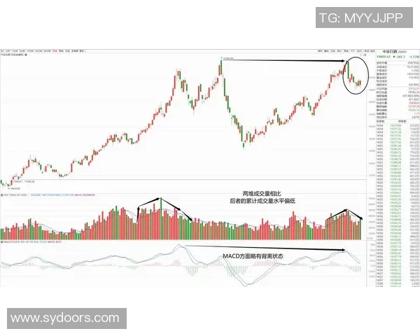 广州篮球队与西安篮球队赛后技术分析与战术复盘探讨